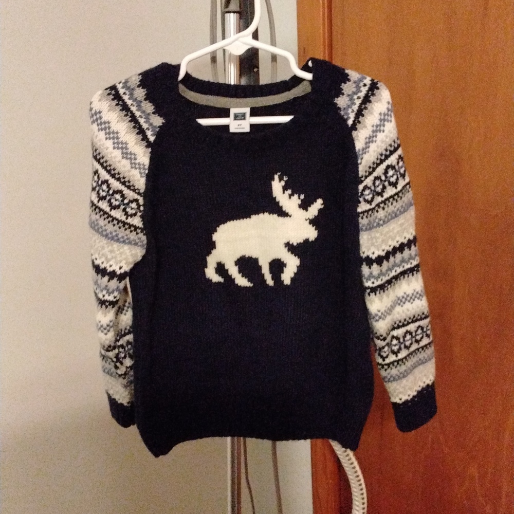 Boys 2T Janie and Jack Sweater